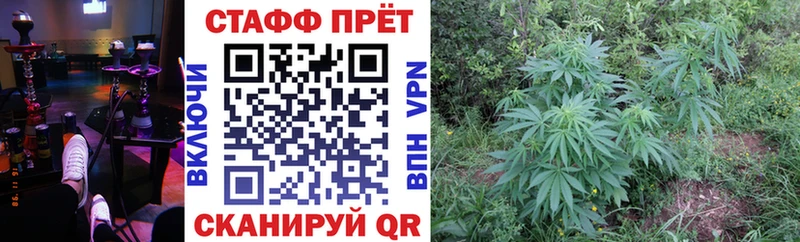 Где купить Гороховец Амфетамин Конопля Мефедрон Гашиш