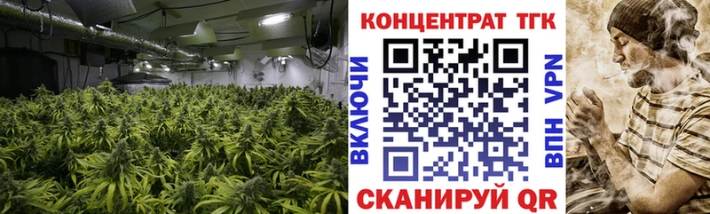 ТГК THC oil  Гороховец 